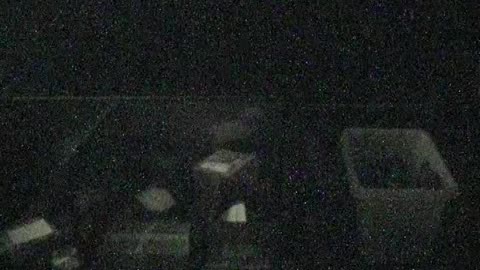 6016WHUGGALoadingDockWA12_2021-01-06_00h20min00s380ms.mp4