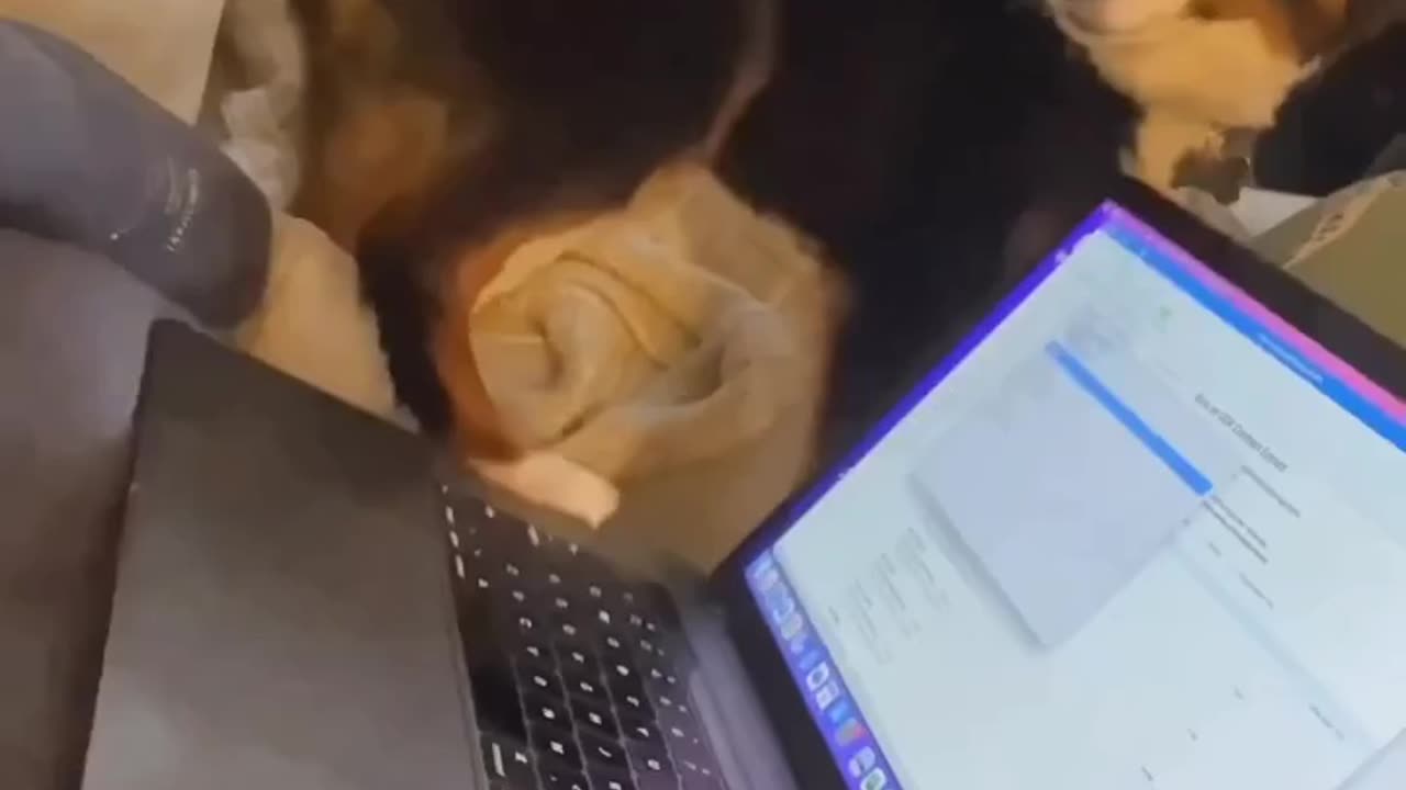 i'll not let yaa work in peace....