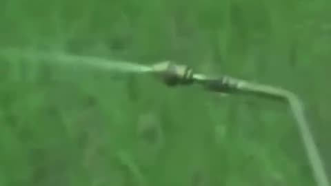 Cola Is Pesticide