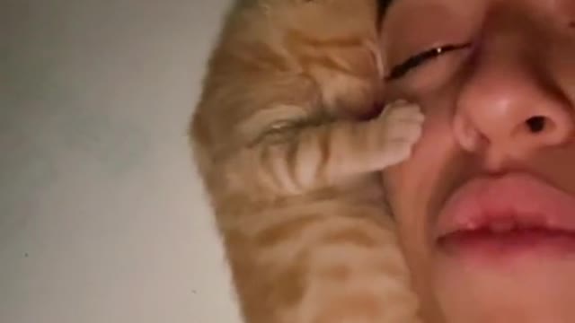 When the kitten you swore you were "just going to foster" steals your heart