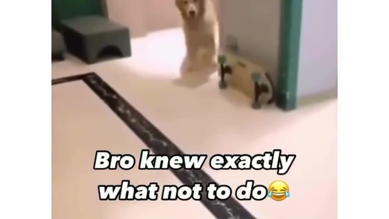 🤣🤣🤣🫣