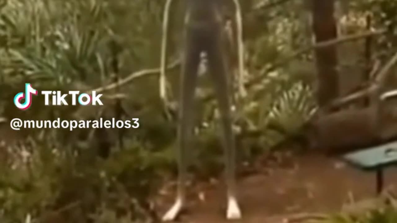 real fact accident in global