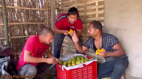 Common thief video (Mangos) - Top New Funny Comedy Video