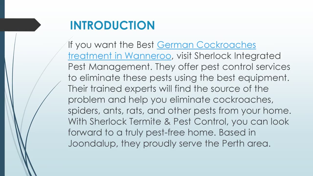 Best German Cockroaches treatment in Wanneroo