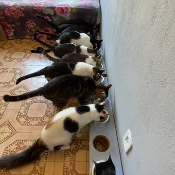 Time to eat 😋😋😋😋😋😋😋😅😅😅😅