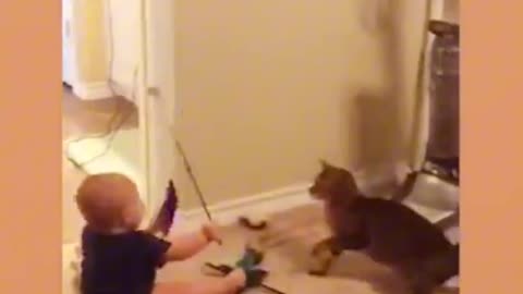 Funny Cat | Funny Cat With Baby 