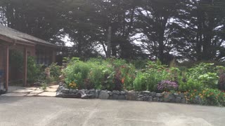 Job Site Garden Tour