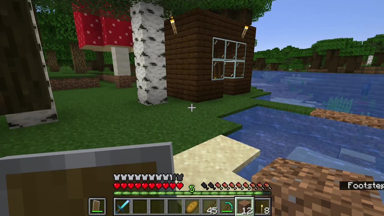 Minecraft Long Play #56