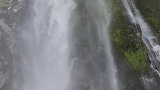 Milford sound