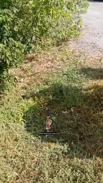 A russian soldier captured by Ukrainian forces