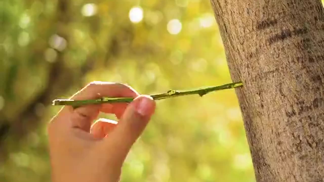 Faire du jardinage un jeu