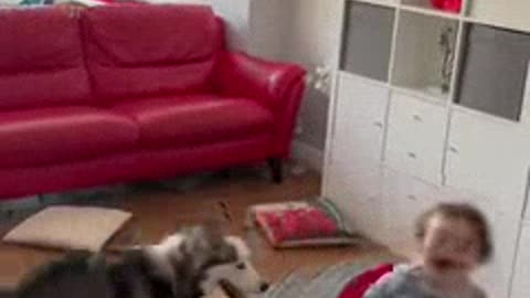 Respectful dog and the happy baby 😍😍