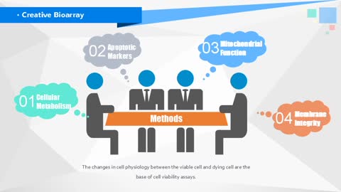 Cell Viability Assays