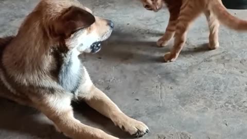 Just for fun