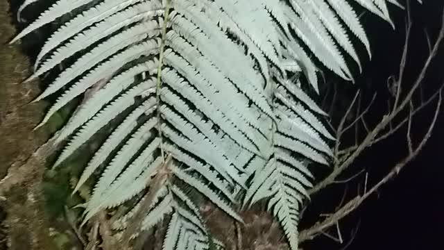 Fight to remain in the presence of the Lord