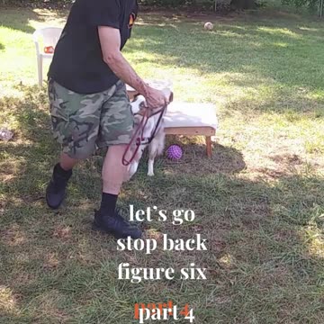 Ruff Cut PodCast Leash Handling part 4 cut 1