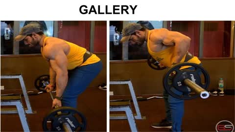 Excellent! Back and Biceps Training by Manoj Patil