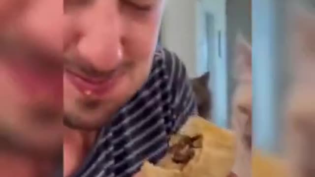 Try not to laugh