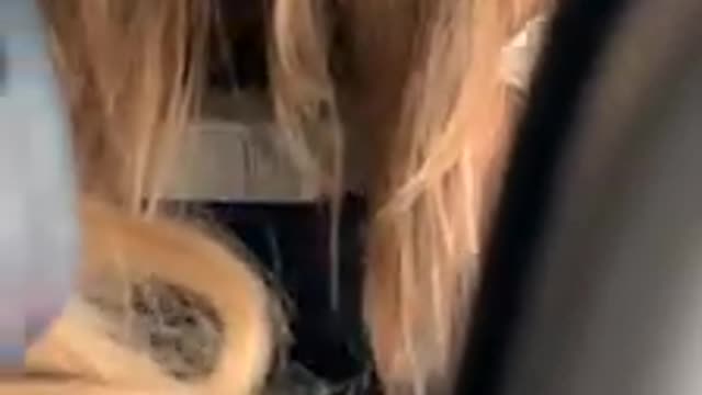 Becareful when you fly with long hairš¤£