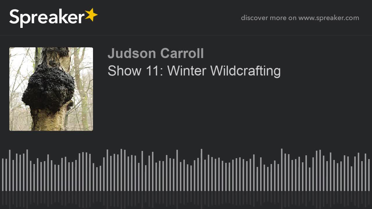 Show 11: Winter Wildcrafting, part 2