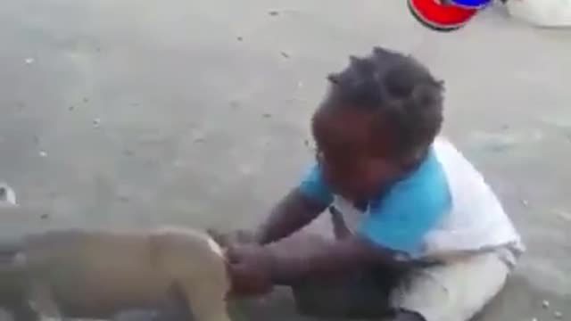 Funny video, kid vs dog bite