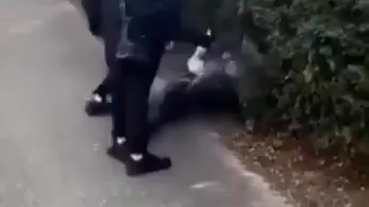 A 15yr old boy is the latest to be filmed being attacked by migrants, this time