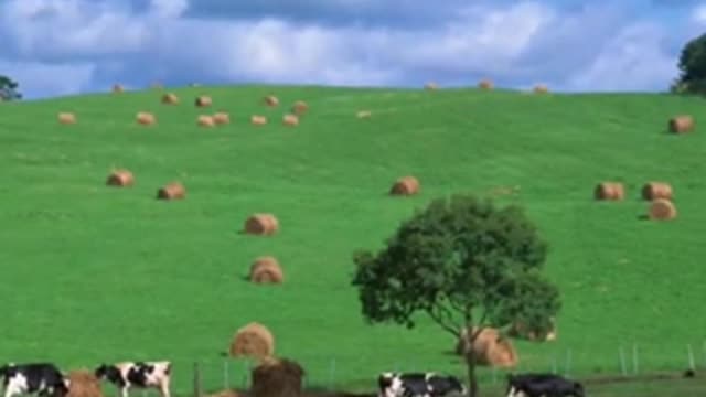 珍惜美好人生 beautiful life to cherish