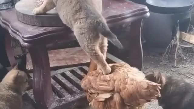 Enough ... it's my turn