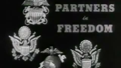 The Big Picture Partners in Freedom