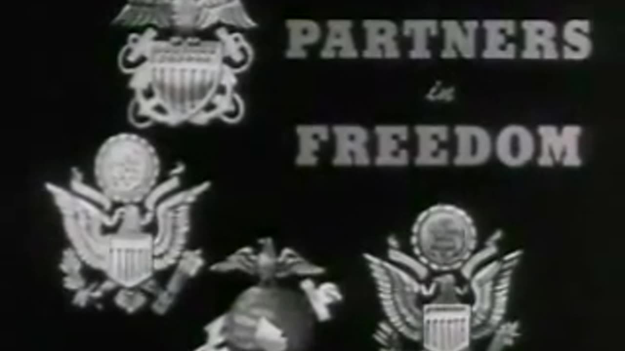 The Big Picture Partners in Freedom