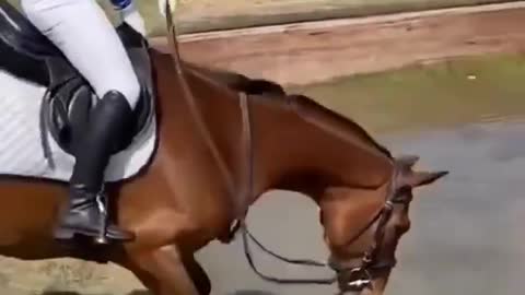 heroine on horse