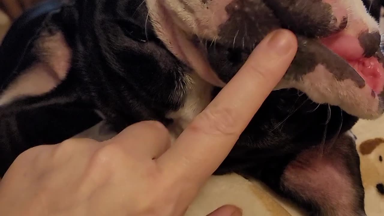 Just As Cute Upside Down