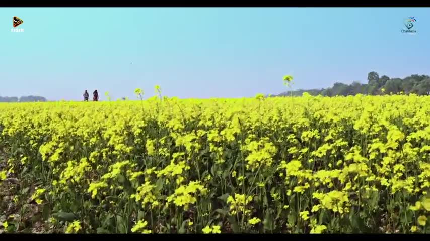 Halda movie song