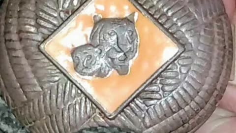 Boy Scout Clip with 2 cubs on it