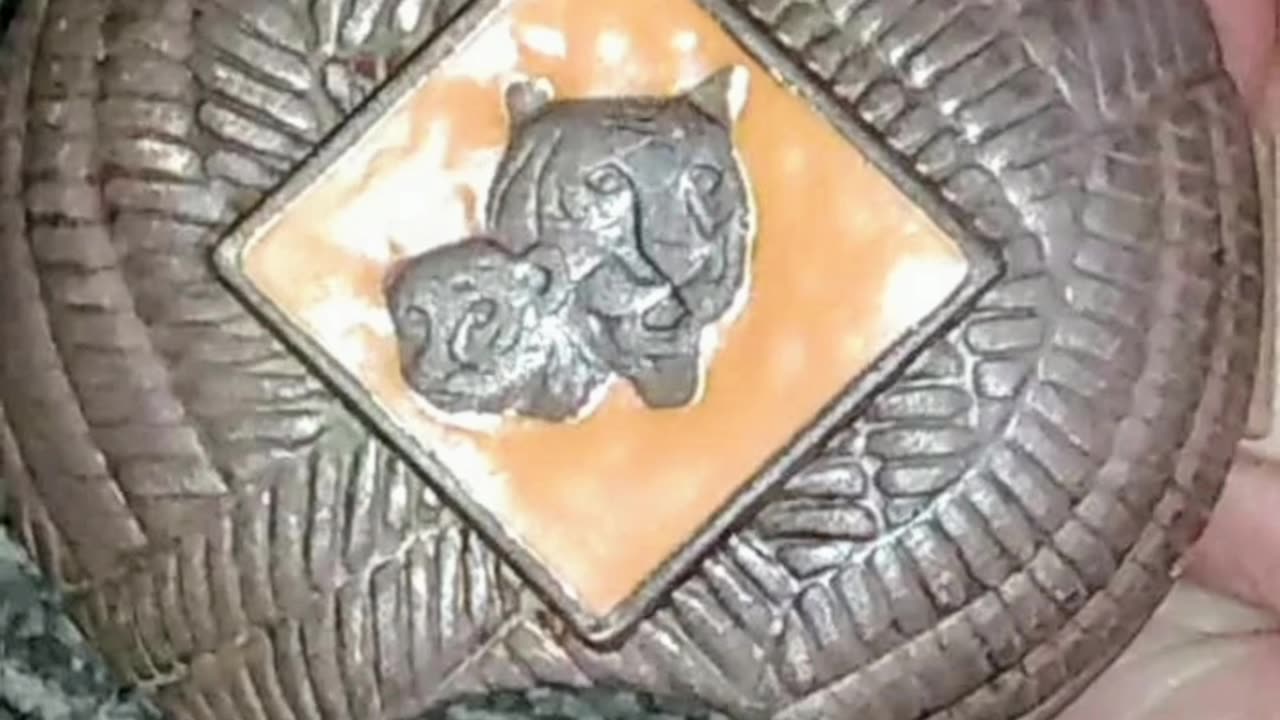 Boy Scout Clip with 2 cubs on it