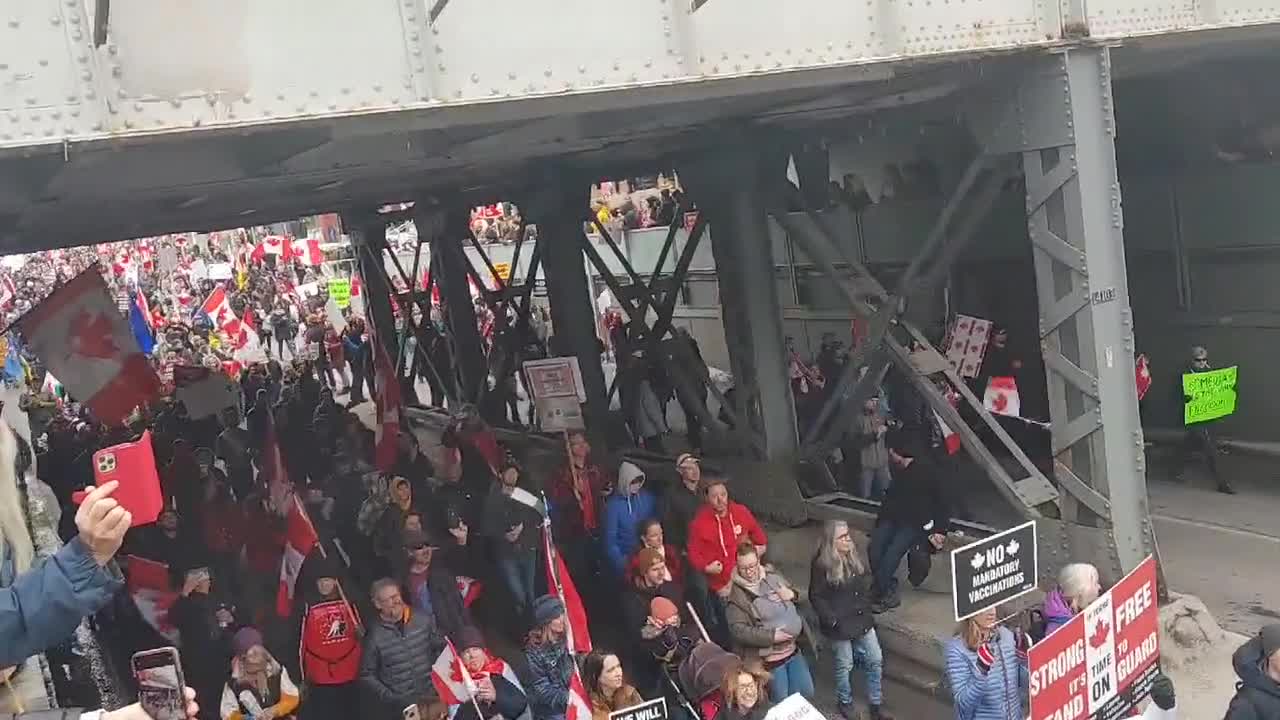 People protesting against restriction in solidarity with Ottawa Calgary, Alberta, Canada