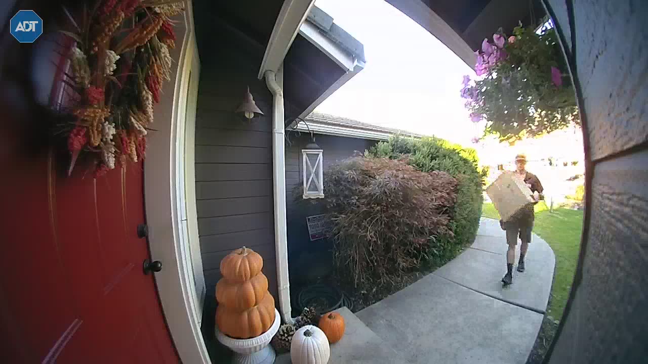 Hidden Buck Jumps In Front Of Delivery Man