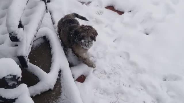 Malyki sees snow