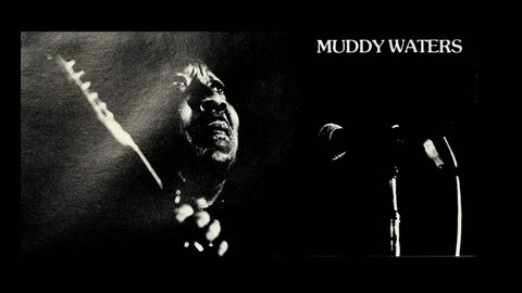 Muddy Waters Album Guide Video
