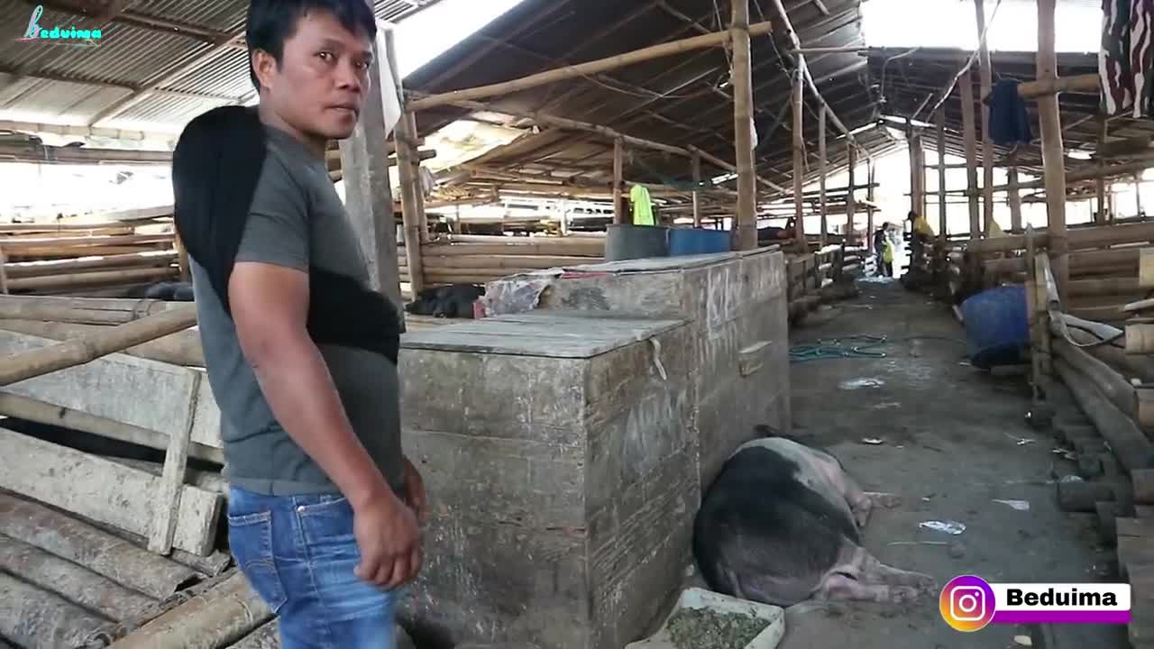 Video youtobe