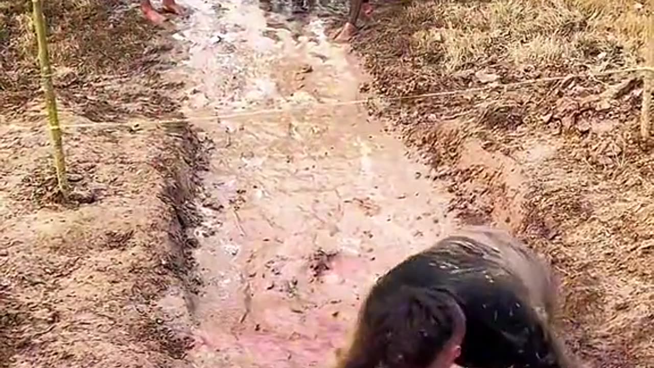 Enter the World of FunnyGames