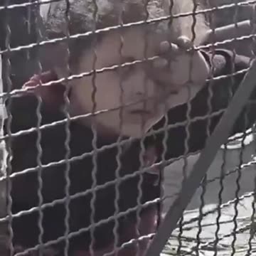 ‘Never Again’ did not apply to Palestinians, under the US and Europe’s ‘rules-based order.’