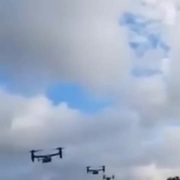 "Chuồn chuồn" bay gì nhiều vậy ta?