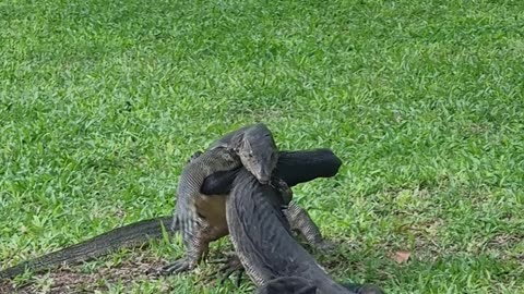Lumpini Park Bangkok