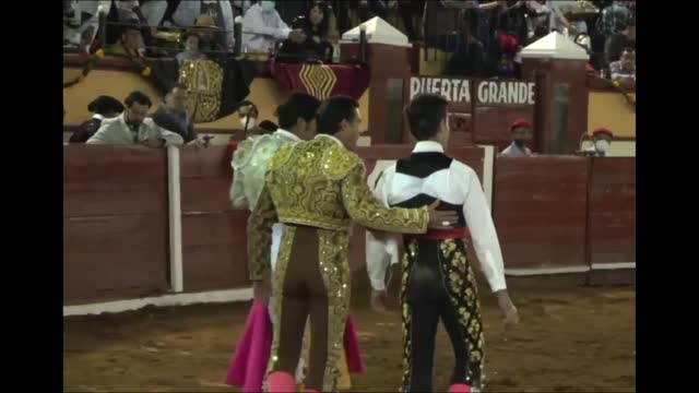 BULLFIGHTER