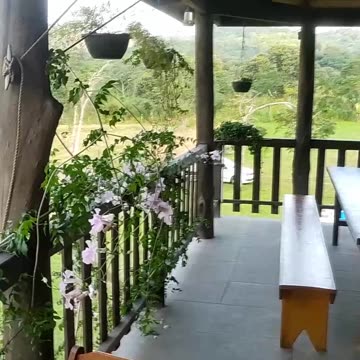 Discover a Hidden Gem in the Heart of Rio's Forest Part 2: Rustic Restaurant & Cozy B&B