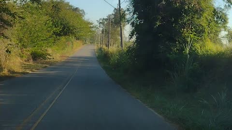 Paraíso em São Paulo