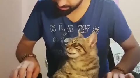 Find someone who supports you like this cat supports his owner's music