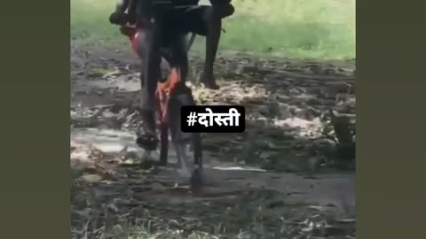 Funny 🤣🤣😆😁