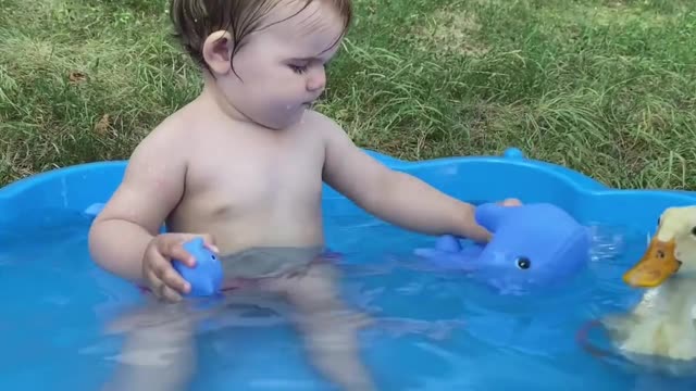 Funny Baby Reaction to Duckling in the Pool